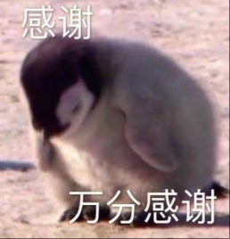 11.png