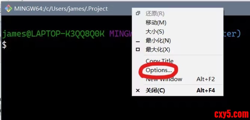5.jpeg