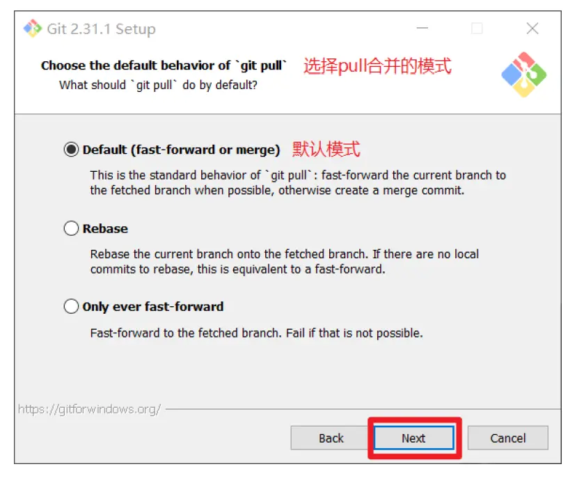 11.webp