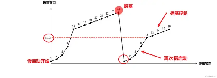 5.webp
