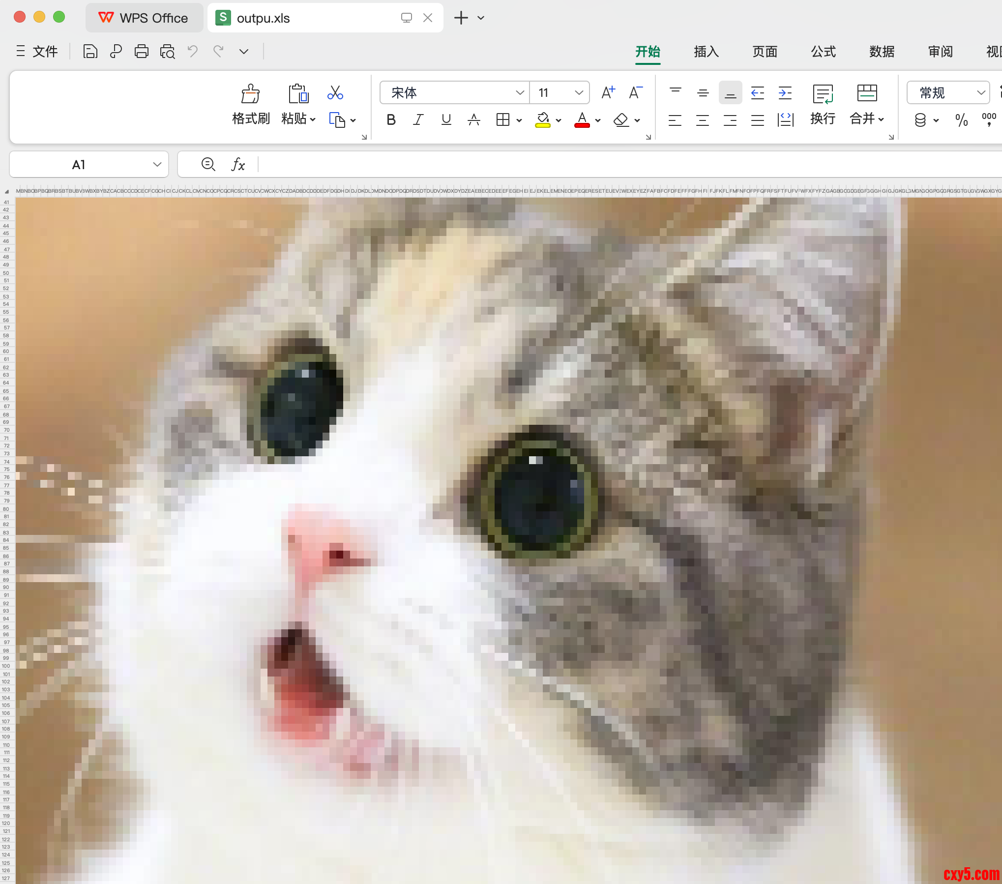 5.png