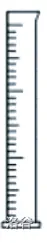 18.webp