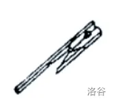 24.webp