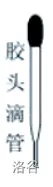 27.webp