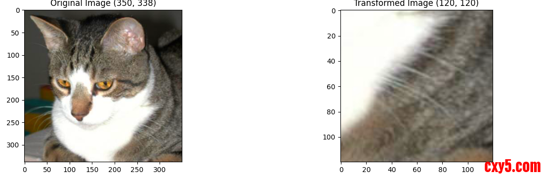 18.png
