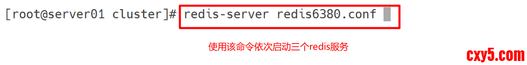 11.png